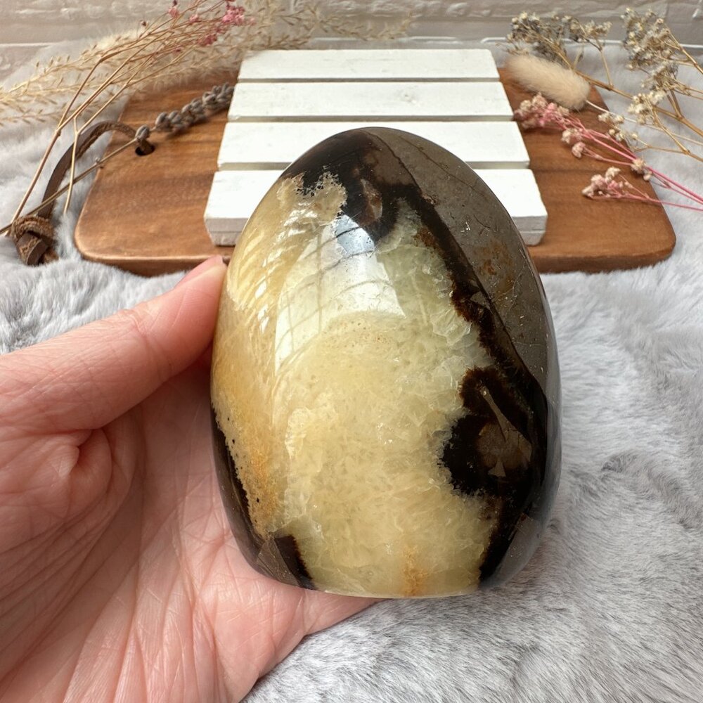 Beautiful Septarian Free Form